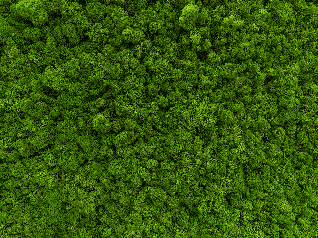 Verdant Silence – Living Patterns by AURIN