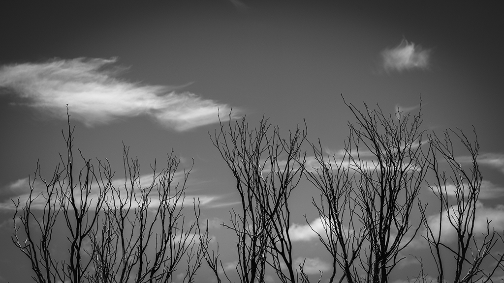 Minimalist fine art photograph – Whispers in the Sky by AURIN