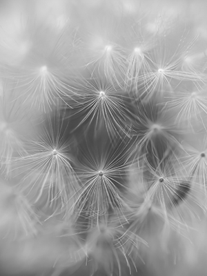 Between Wind and Light – poetic movements